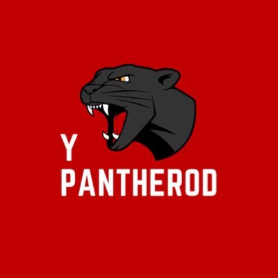 Y Pantherod/Cardiff Copwatch