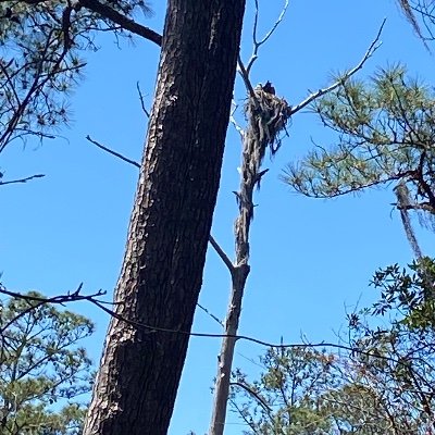 LucyBettystewa1's profile picture. former college administrator.  fourth generation owner of 120 year old family retail business.  strong supporter of Democratic Party!