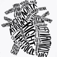 ACMC Cardiology Fellowship (@cardiologyacmc) 's Twitter Profile