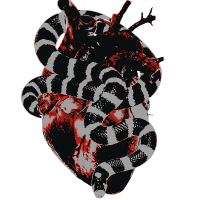 withered heart . (@witherngs) 's Twitter Profile Photo withered heart . (@witherngs) 's Twitter Profile Photo