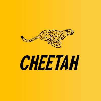 CheetahsGuides Profile Picture