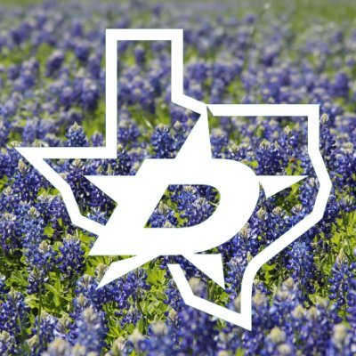 KatieLong_TX Profile Picture