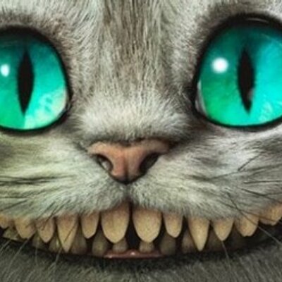 Nathalie N 8gony Twitter