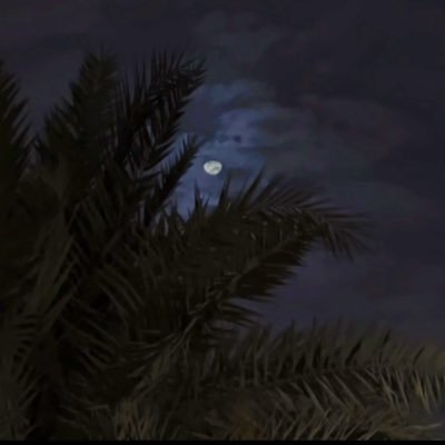 qiu8xx's profile picture. 