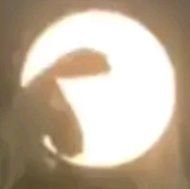 riptech67408819's profile picture. Tecnoblade gaming fun