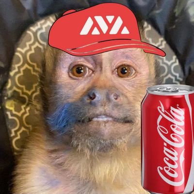 I like coke and functional scaling blockchains