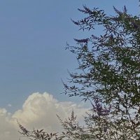 raghadd (@raghadhyey) 's Twitter Profile