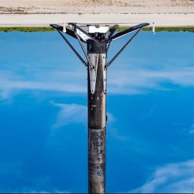 elonmuck's profile picture. 