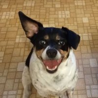 Loki of Lixley🌈 (@lokioflixley) 's Twitter Profile