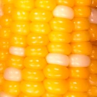 ダンP🌽@優柔不断丸 (@yu_ju_fdan) 's Twitter Profile Photo ダンP🌽@優柔不断丸 (@yu_ju_fdan) 's Twitter Profile Photo