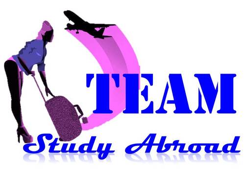TeamStudyAbroad's profile picture. This All Star team consists of certified and specialized stewardesses with the goal of taking your party to new heights and bring you the FUN side of FITNESS!