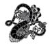 carmacace (@carmacace) Twitter profile photo carmacace (@carmacace) Twitter profile photo