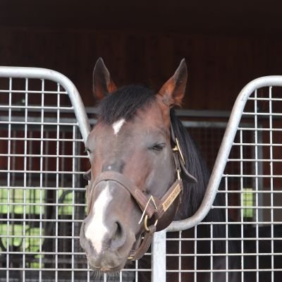 🏇幸英明騎手🏇Ryanmoore騎手🏇武豊騎手🏇