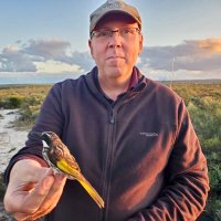 Rob Davis (@dr_rob_davis) 's Twitter Profile