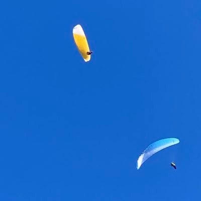 miketotoraneko's profile picture. 適当につぶやきます。三代続く薬局に生まれるも、四代目にならず、開局して初代に。三毛猫は配偶者兼取締役、虎猫改めオッチンはお弟子さん。本体は白い熊