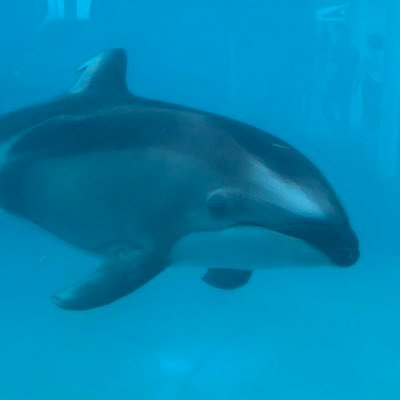 これから日本は素晴らしい方向へ変わっていきます。国民の1票はとても大切な1票です。選挙へ行きましょう🥰💕