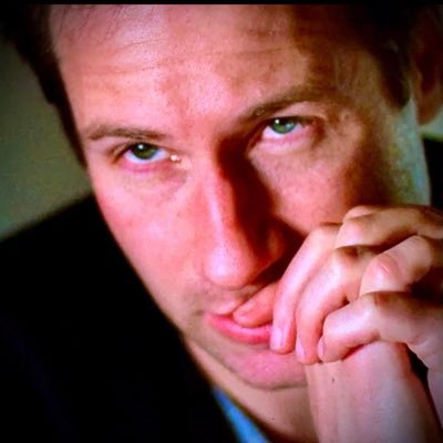 XPhile From day1 MSR=Blorbo! I 💚 I tend to use speech to text on HERE, so you know @DavidDuchovny & @GillianA