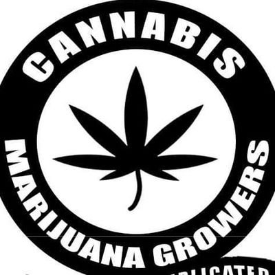 #marijuana #cannabiscommunity420 #dankdank #stonernation420 #420usa #supermanlover86 #ganjafriend  #exoticweed #massgrows #ganjachicks #cannabis #stonermemes