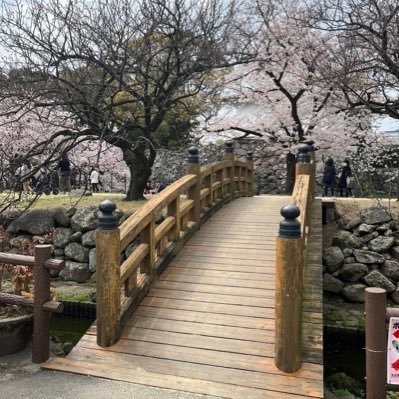 PSZoDFoNcjechR8's profile picture. 最近BCGに興味があります。