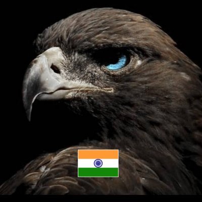 CA | 26 | Jain | Multibagger Opportunities 🔍
I'm helping people to become Better Investor.
Huge Runway + Patience = Magic ✨
I am perpetual learner. Join NOW!