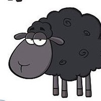 Ovine Politick II (@ovinepolitickii) 's Twitter Profile