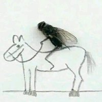 chetak (@chimirkhi) 's Twitter Profile