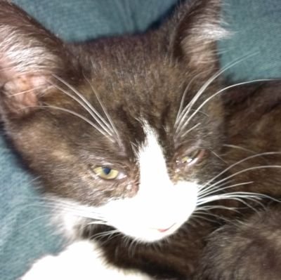 miekonktu99's profile picture. 始めてみました。
Twitter自体もよくわかってませんが、いい出会いがあることを期待したいです。