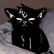 Enveさんのプロフィール画像