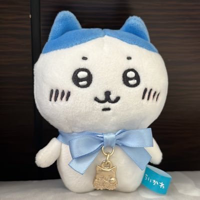 あしこ様　万博　リクエスト　確認用　　20個】【 あしこ様 万博 リクエスト 確認用 20個】【