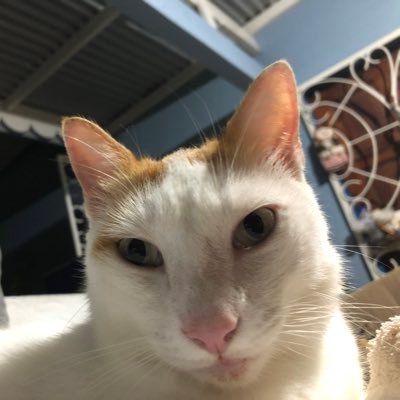 urwholeworld's profile picture. 