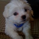 Barbara Lieb - @barbaralieb - Twitter