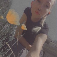 DragonQueen (@wanttobeadragon) 's Twitter Profile