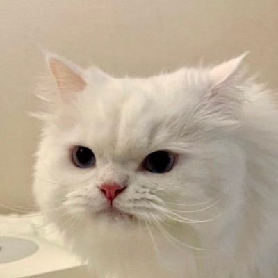 babytaohuxx's profile picture. 