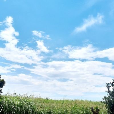🌿社交不安障害(軽度)の30代社会人👨
🌿休職しながら治療中。
🌿おそらくhsp。
🌿情報収集・同じ境遇の方を知る事が目的です。
🌿無言フォロー失礼いたします。