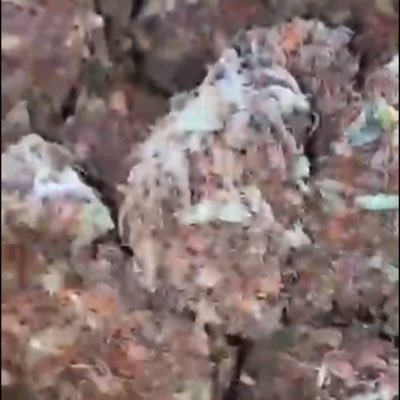 Je suis de retour avec une PROMO et de la superbe verte 6G a 40€, 3mmc et marron dispo contacter moi uniquement sur 0758487983 .#weed #3mmc #beuh