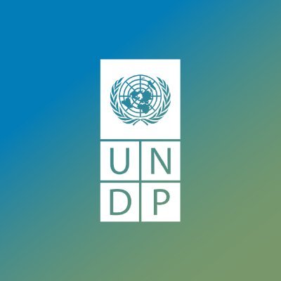 UNDPAfrica Profile Picture