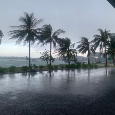 Pmaldives's profile picture. from manesh