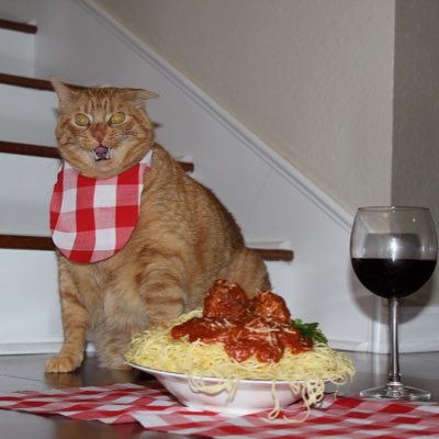 pastacat48's profile picture. Pastacat48