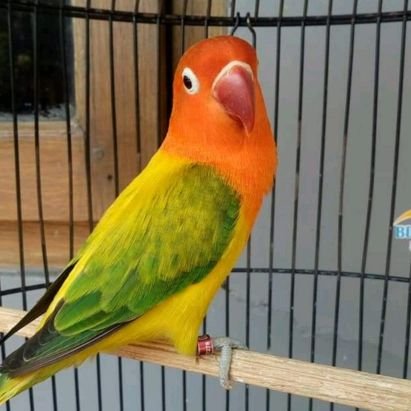 EnzoPrastowo's profile picture. Yg suka fantasi dan pijat sensual bisa berbagi....