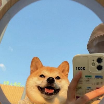 gogos147's profile picture. 欢迎各位同好一起交流，进群的备注怎么加的群 607305813