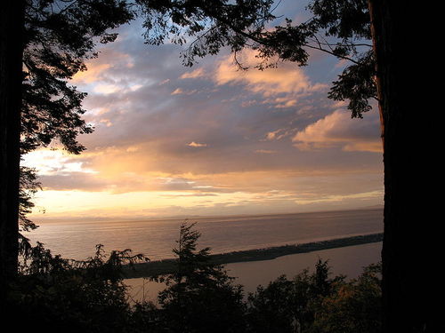 junipercanyon01's profile picture. Artist, writer, musician, science and nature enthusiast, lover of quotes...