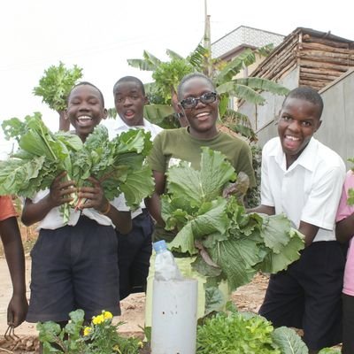 Kichini Gardeners Initiative