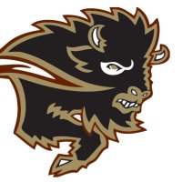 Bison Swimming (@bisonswimming) 's Twitter Profile