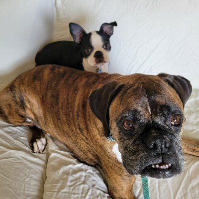 beach_mick's profile picture. 