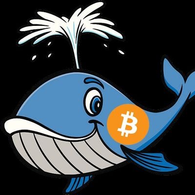 Just an above the average nerd , love learning about all technical advances. Hobbies include 3D printing, fly fishing ,blockchain technology.