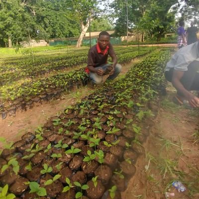 Environnementaliste  pépiniéristes , producteurs végétales. agripreneur en agriculture hors. 
à l'écoute d'une opportunité