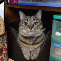 ゆっきー (@et8dbpocv0bl7js) 's Twitter Profile