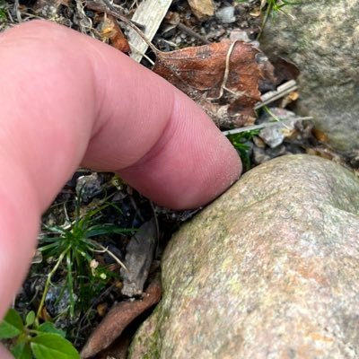 Koldfinger's profile picture. Inte på någon partipolitisk sida för alla har sina brister. Petar på allt som är sjukt i samhället. PS, profilbilden är symbolisk för förvirringen i samhället.