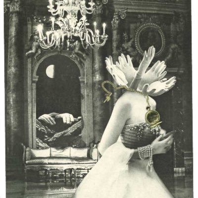 tchbn_skr's profile picture. 