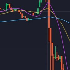 StoqTD's profile picture. quant, formerly physics